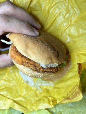 Hot and Spicy McChicken