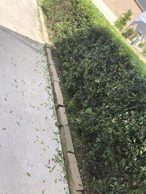 I asked for them to trim the bushes and this is the mess they left