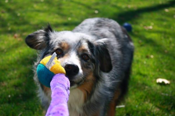 Luna at play group