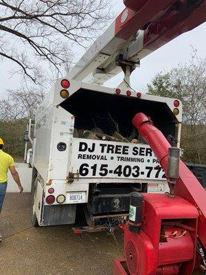 Tree Removal, Trimming, Stump Grinding services by DJ Tree Service, LLC