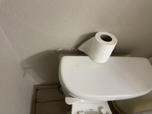 Here's your toilet paper!