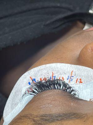 top view showing REAL lash isolation ensuring long lasting retention