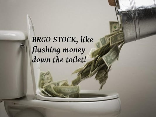 The experience of buying BRGO stock!