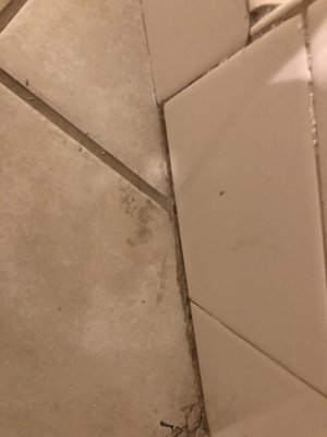 Tile cleaning