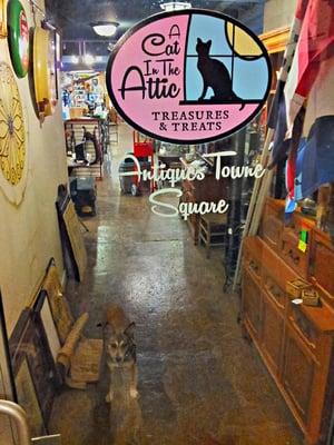 A Cat in the Attic Treasures & Treats Antiques Towne Square