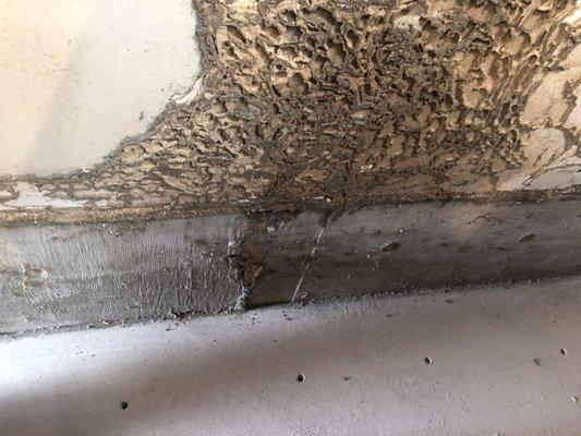 Termite damage in a garage behind a work bench.