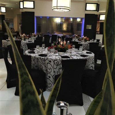 Zyloware Eyewear Corporate Dinner (Linen and Floral by Rogarry's Floral and Events)