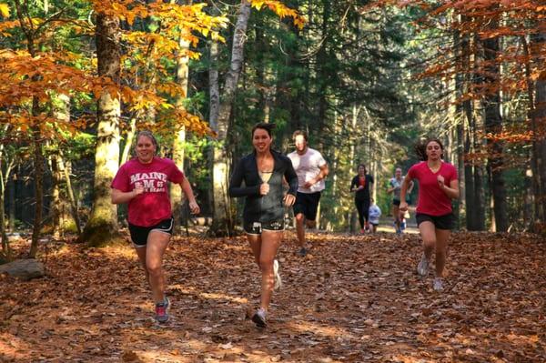 The DeMeritt Forest Trail System is located directly behind the New Balance Student Recreation Center.