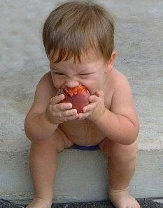 Caskey Orchard Peaches