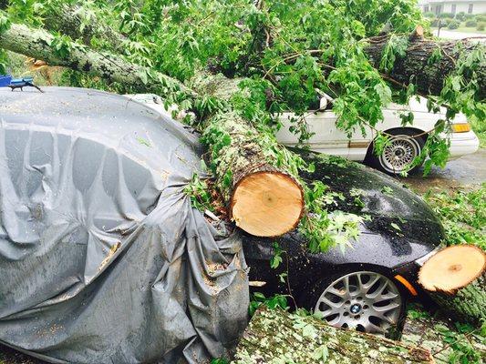 The fire dept. had cut an access to the house. The tree totaled both cars. 2 of 3