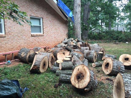 James Terry left my neighbors tree on my property for me to deal with!