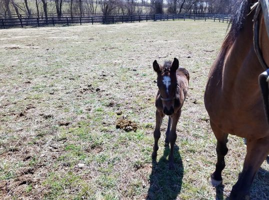 Just one of the babies you can pet and get pictures with on our farm.