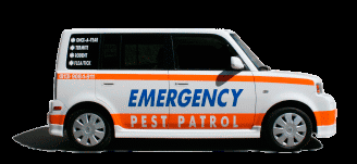 Emergency Pest Patrol Lakeland