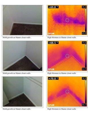 Mold Moisture Report