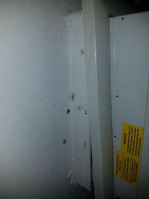 House FULL of mold, bathtub is rusted and unsafe. Door doesn't lock so we use knives