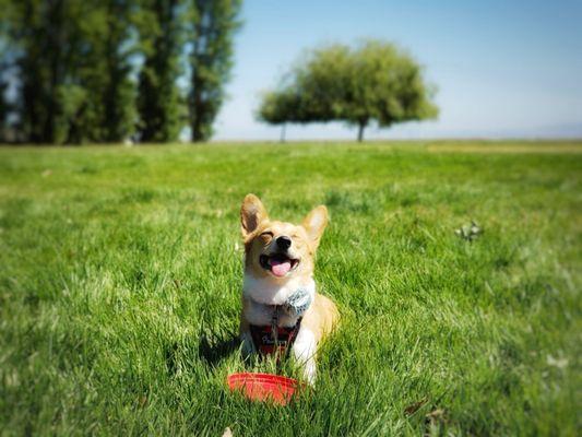 A happy NAHC patient.