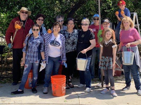 Picking oranges for the food pantry