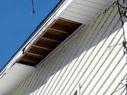 High Winds can blow off siding and soffit, leading to water infiltration or animal and pest infestations.