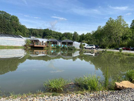 Adorable lake w/ comfy chairs. They also sell kombucha.