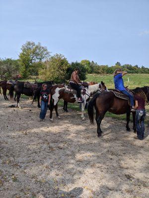 Dan Patch Stables