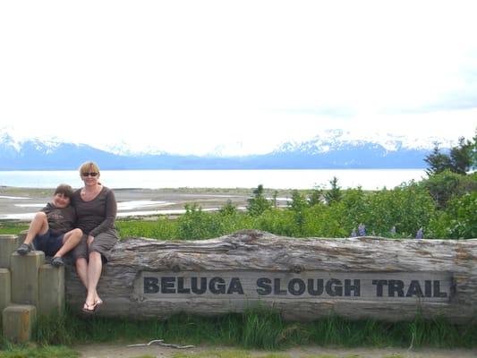 Beluga Slough Trail - the trailhead