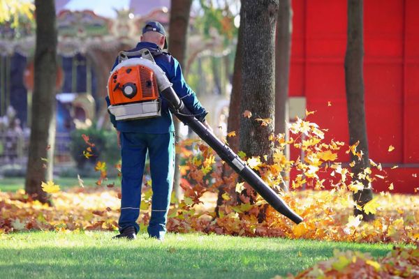 Spring clean-up