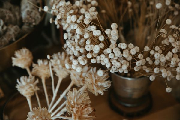 Assorted dried flowers