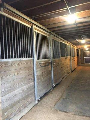 Stalls and Pasture board