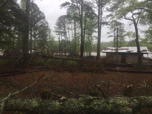 Tornado damage