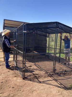 Building the chicken coop.