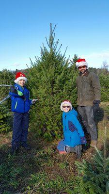 Country Pines Christmas Tree Farm