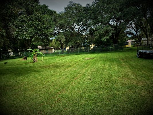 SunnySide Lawn Care Services