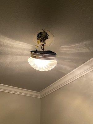 Light fixture that was knocked from The ceiling by loud upstairs neighbors