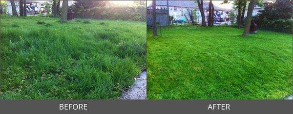 Before and after weekly lawn mowing services