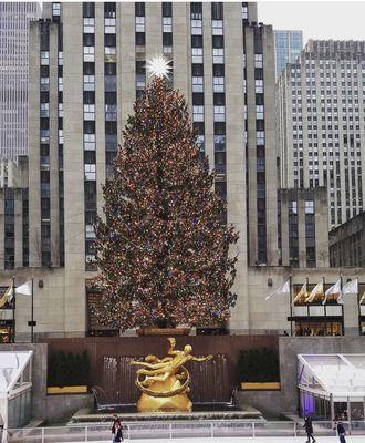 2020 Rockefeller Center Christmas Tree from this store!