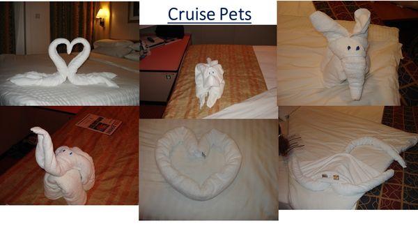 Cruise Pets