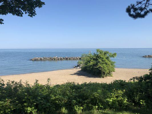 Daytime view of lake from the walking trail.