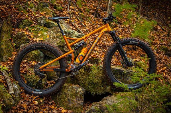 Bucksaw from Salsa Cycles