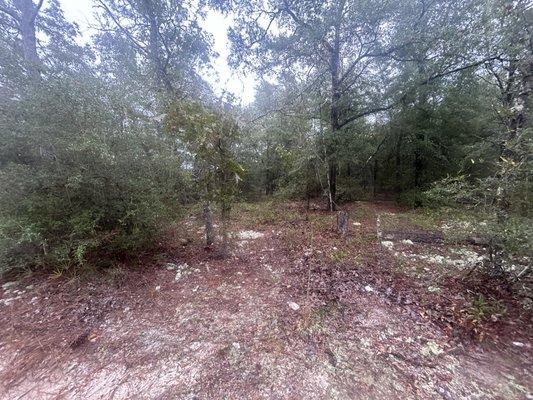 Defuniak Springs, Fl
.39 acre lot.