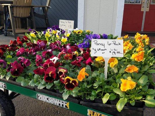 Stop in and Check out our nursery and Lawn & Garden Section