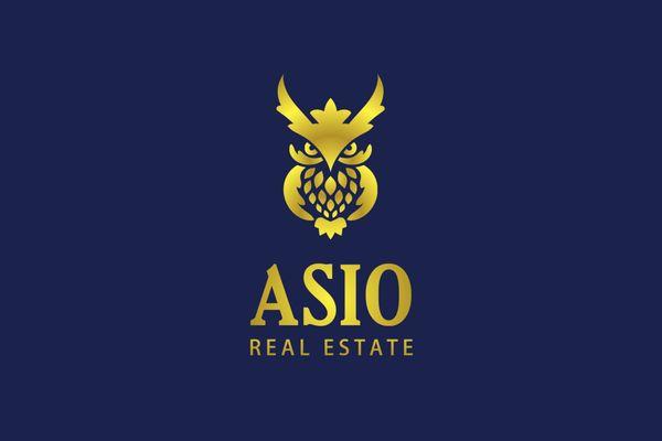 The ASIO golden owl, signifying time-tested wisdom and impeccable vision