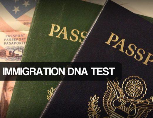 Immigration DNA Test