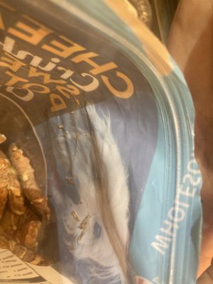 Larvae casings on the inside of the bag