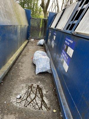 How hard is it to open your bags and dump the recycling in the clearly marked container?