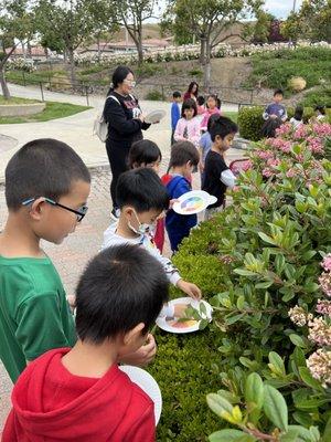 Science lesson(Nature color wheel)