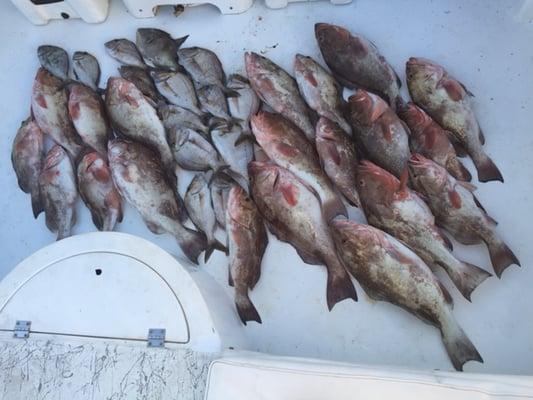 Crabby Charters Ft Myers