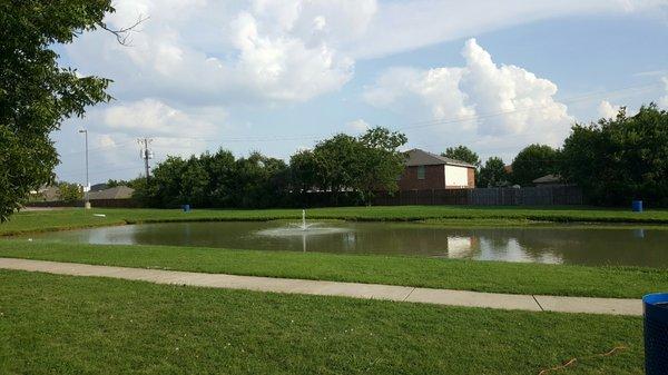 Pond with ducks