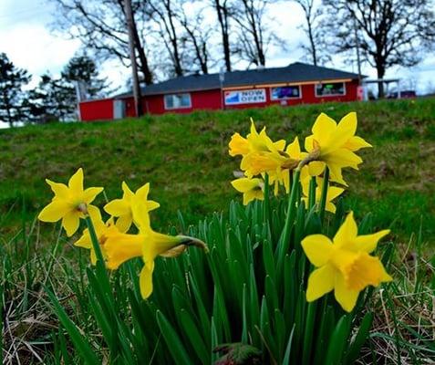 Spring has arrived at Firehouse Corner Deli & Market!