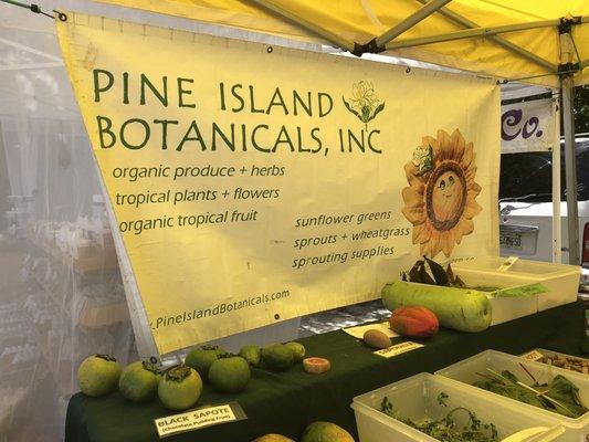 Pine Island Botanicals