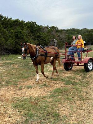 Trails and field to ride in